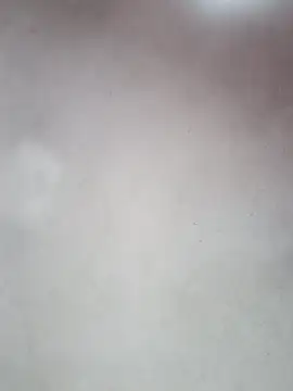  violetta - online show from October 12, 12:59 pm