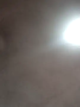  violetta - online show from October 16, 1:01 pm