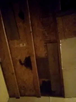 Snapshot of beliqi chatting on December 15, 1:24 am beliqi online show from December 15, 1:24 am