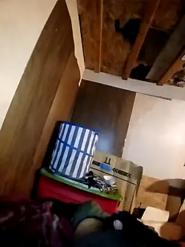 Snapshot of beliqi chatting on November 15, 5:49 am beliqi online show from November 15, 5:49 am