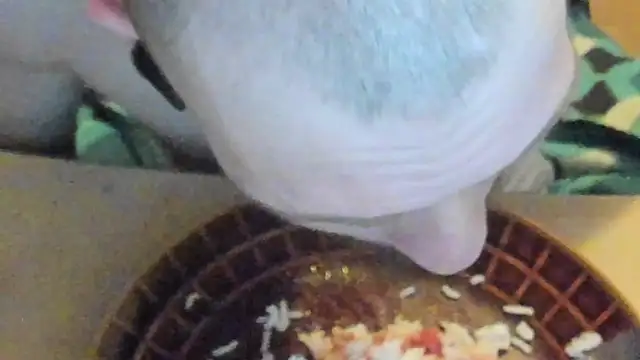 sexy264329 online show from March 7, 4:22 pm