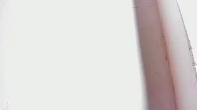 Snapshot of tifany_bigdick chatting on February 27, 12:43 am tifany bigdick online show from February 27, 12:43 am