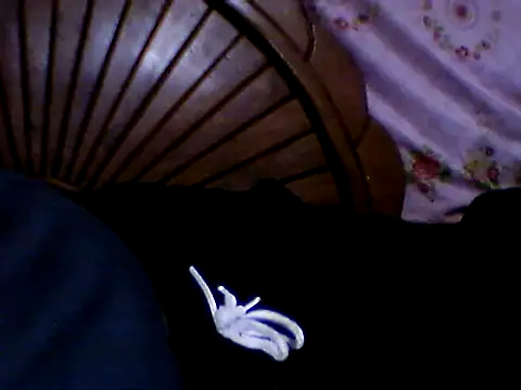 penesillo79 online show from November 21, 3:05 am