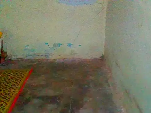 jellydicks online show from February 11, 12:58 pm