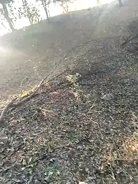 jellydicks online show from February 21, 2:01 am