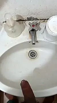 pedritolobito online show from February 27, 11:52 am