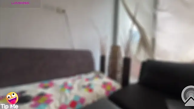 Snapshot of LanaQuen chatting on December 29, 8:15 pm LanaQuen online show from December 29, 8:15 pm