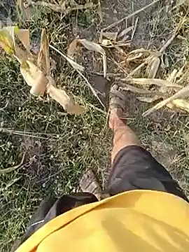 Piyush 2024 online show from March 23, 2:15 am