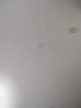 geilerschwanz64 online show from October 27, 2:15 am