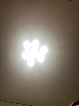 Janet Welder online show from December 7, 5:15 am