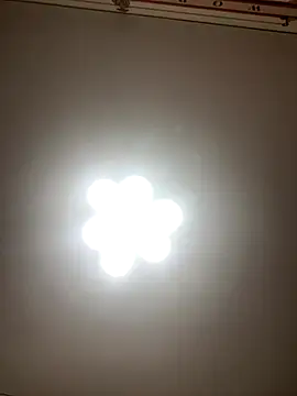 Janet Welder online show from December 1, 2:38 am