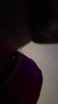 torilux online show from January 21, 11:56 am