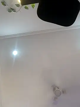 Archi-07 online show from October 24, 8:11 am