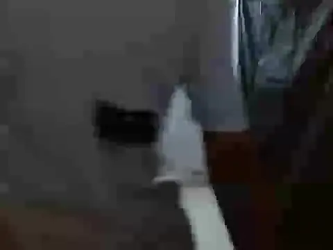 latino hotxxx online show from October 20, 11:27 pm