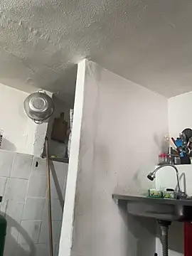 siri duque online show from November 27, 12:40 pm