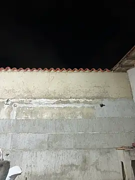 Leo bunny hot online show from January 10, 2:24 am