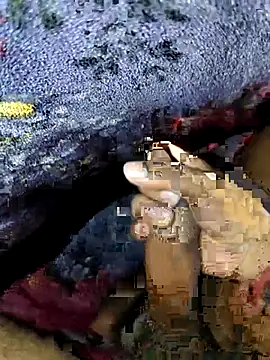 Kolkataboiy online show from September 24, 2:59 am