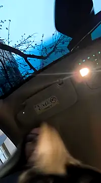 SukyGirl online show from February 3, 5:40 am