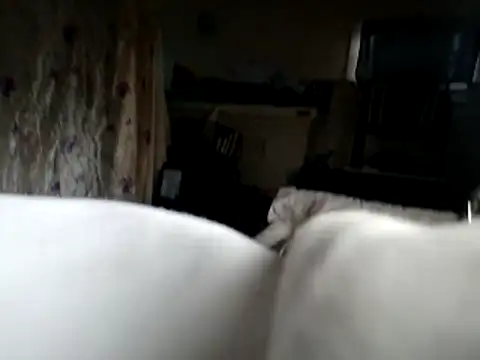 DevinToore online show from November 16, 10:26 pm