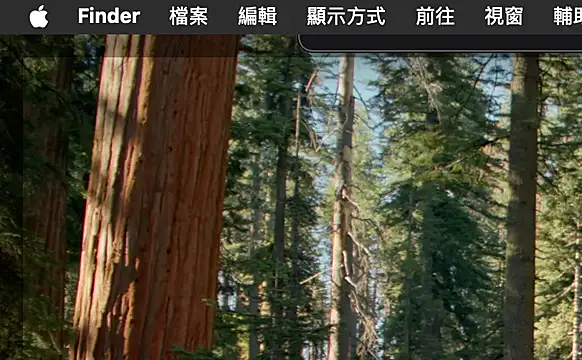 ex199212 online show from March 8, 1:50 am