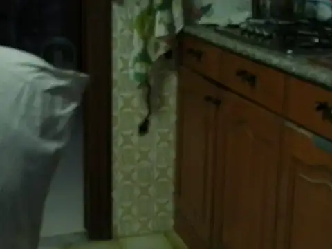 VeneRed online show from October 27, 3:49 pm