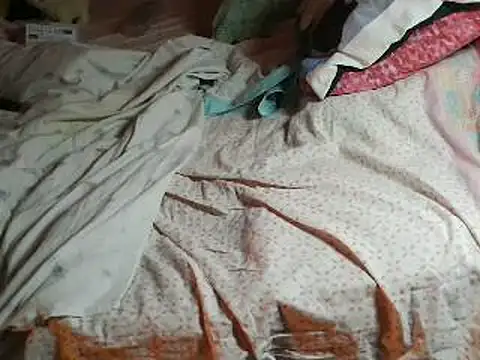 VeneRed online show from April 11, 7:29 pm