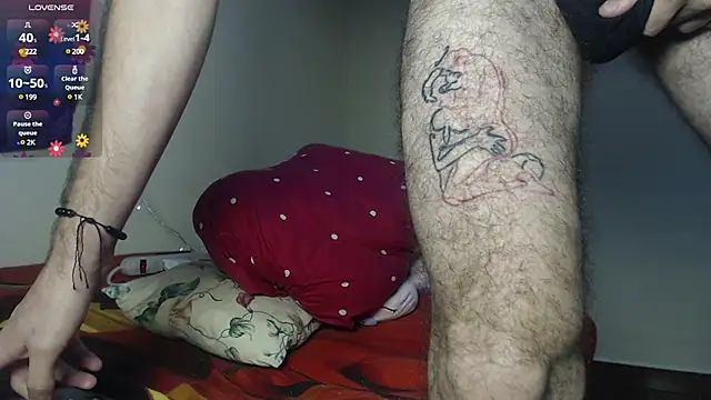 Dante Bear  online show from February 16, 4:31 am