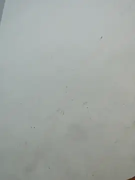 Sania-Love online show from December 2, 11:11 pm