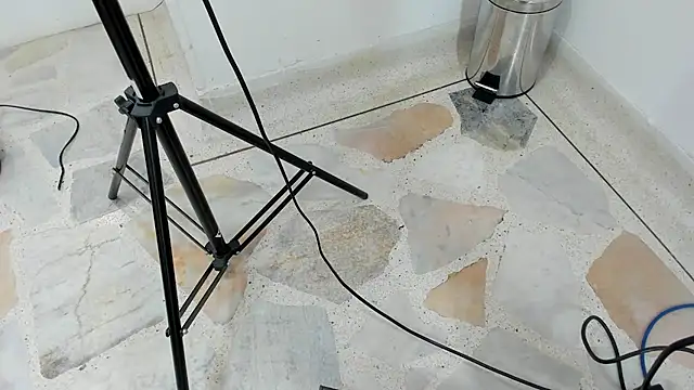 catalina Ada online show from March 11, 5:35 pm