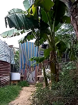 Snapshot of tayson_ chatting on March 14, 11:34 am tayson online show from March 14, 11:34 am