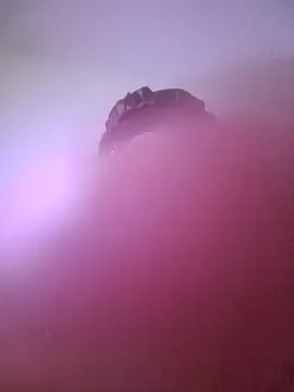 giuliana andrade online show from January 22, 10:59 pm