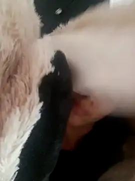 giuliana andrade online show from February 19, 9:28 am