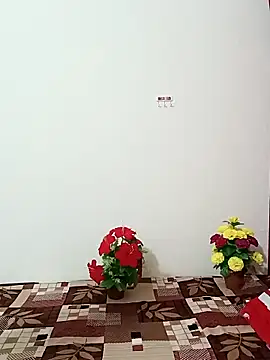 Saroj-Shah online show from October 11, 3:50 am