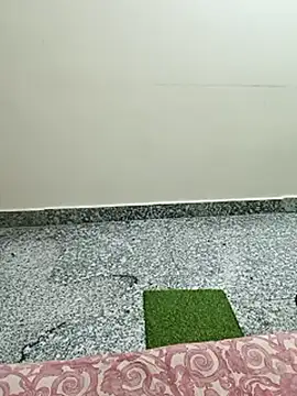 Snapshot of Saroj-Shah chatting on March 10, 5:07 pm Saroj-Shah online show from March 10, 5:07 pm