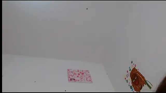 Snapshot of kity__ chatting on February 24, 4:58 pm kity   online show from February 24, 4:58 pm