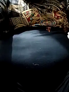 Snapshot of Palanquita4 chatting on February 16, 9:55 pm Palanquita4 online show from February 16, 9:55 pm