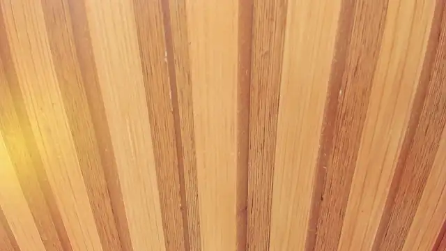 Taylor  cooper online show from February 18, 6:37 pm