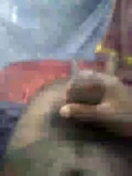 Snapshot of mallucallboy2104 chatting on January 15, 4:47 am mallucallboy2104 online show from January 15, 4:47 am