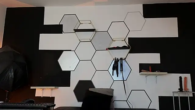 haileycat online show from February 10, 8:20 am