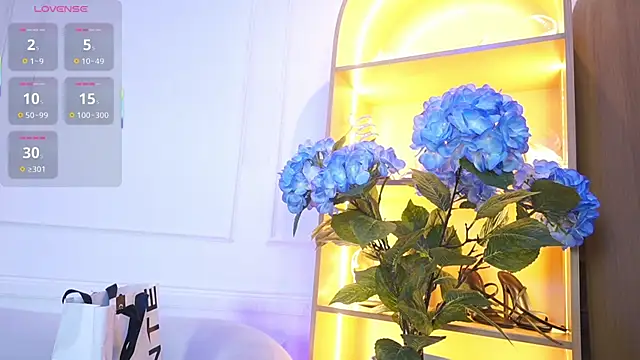 elasummer online show from November 28, 11:57 am