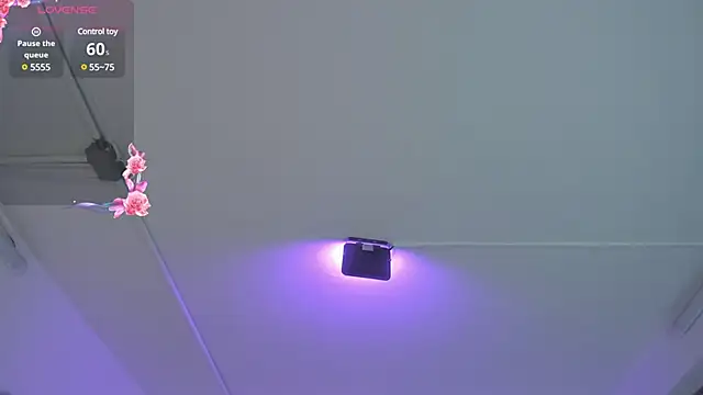 Meelanny ds online show from December 20, 4:42 am