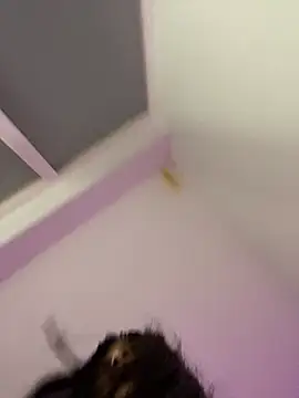 bonnie 18x online show from February 26, 5:31 am