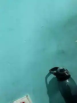 Rani devi88 online show from February 24, 9:43 am