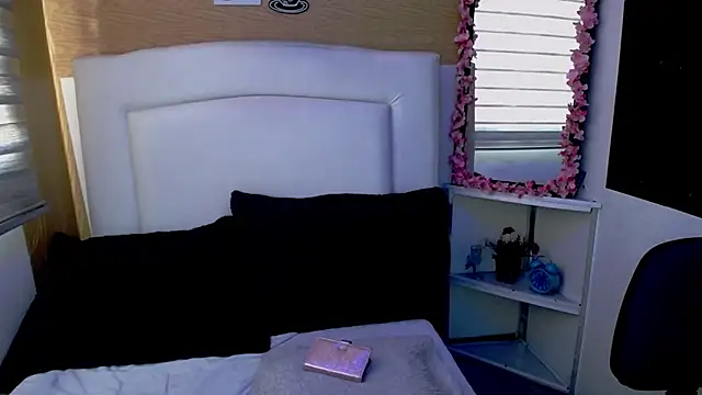 Snapshot of palmer_mIix chatting on December 5, 1:17 pm palmer mIix online show from December 5, 1:17 pm