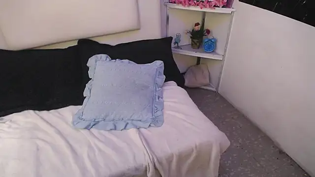 Snapshot of palmer_mIix chatting on December 27, 1:07 pm palmer mIix online show from December 27, 1:07 pm