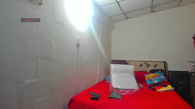 Brianrosex online show from February 26, 1:53 am