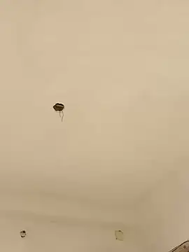 Lexi Baby  online show from December 13, 8:09 am