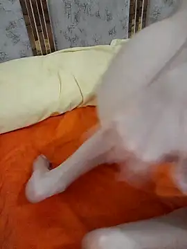 abyusif101099 online show from February 25, 4:57 am