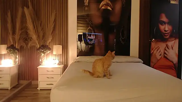 Sam mansson66 online show from November 14, 2:27 pm