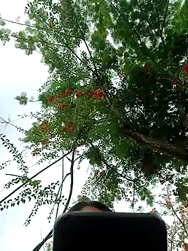 Snapshot of Karol-kamila19 chatting on December 3, 9:01 pm Karol-kamila19 online show from December 3, 9:01 pm